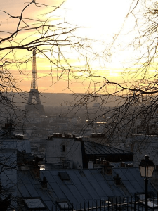 Paris seine tour eiffel